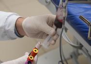 Pessoas que tomaram a vacina contra a Covid-19 podem doar sangue, esclarece o Hemepar