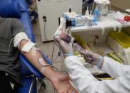Pessoas que tomaram a vacina contra a Covid-19 podem doar sangue, esclarece o Hemepar