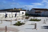 Guaraqueçaba e Guaratuba