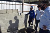 Guaraqueçaba e Guaratuba