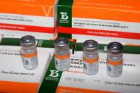 Paraná receberá mais 244,8 mil doses de vacinas contra a Covid-19