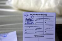 Influenza