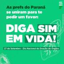 Diga SIM em vida