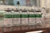 Paraná aplica 1,5 milhão de doses da vacina contra gripe e convoca grupos prioritários