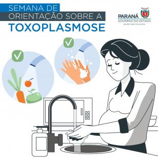 Cuidados na gravidez incluem exames preventivos de toxoplasmose