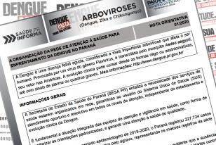 Sesa publica Nota Orientativa sobre a Dengue