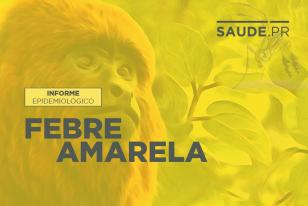 Febre Amarela