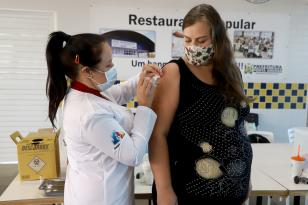 Paraná é o segundo estado em números absolutos de vacinação de gestantes e puérperas