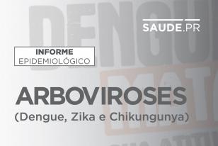 Informe da dengue registra 782 casos da doença no Paraná