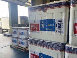 Mais 177 mil doses de reforço contra a Covid-19 chegam ao Paraná nesta quinta 