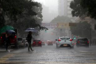 Após período de chuvas, Saúde chama a atenção para os cuidados contra a leptospirose