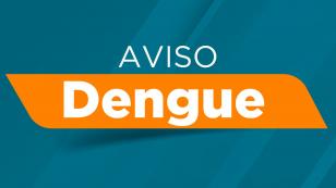 Boletim da dengue confirma 10,3 mil novos casos e 8 óbitos