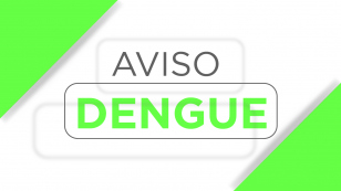 Informe da dengue registra 876 novos casos; circulação está confirmada em 216 municípios