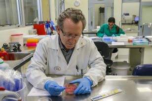 superbactéria_lacen