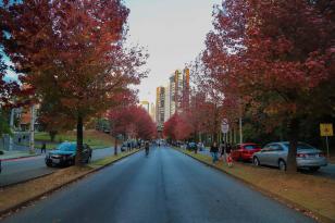 Saúde reforça importância de cuidados com doenças respiratórias, típicas do outono