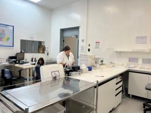 Paraná reforça orientações para coleta correta de amostras de alimentos para programas de monitoramento da qualidade