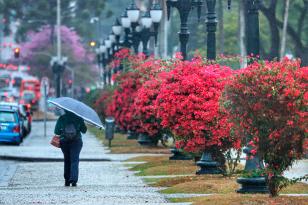 Primavera deve ter umidade excessiva e dar protagonismo a alergias sazonais