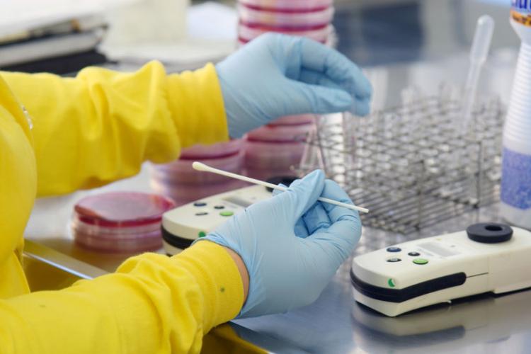 Lacen analisa amostras para homologar exames padrão ouro da Covid-19 pelo laboratório da UEL e Paraná deve aumentar processamento de testes