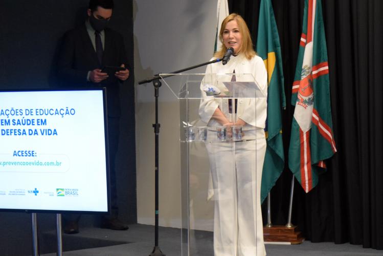 Secretário solicita apoio para o Ministério da Saúde em estratégias para a saúde mental