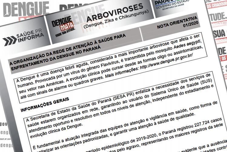 Sesa publica Nota Orientativa sobre a Dengue