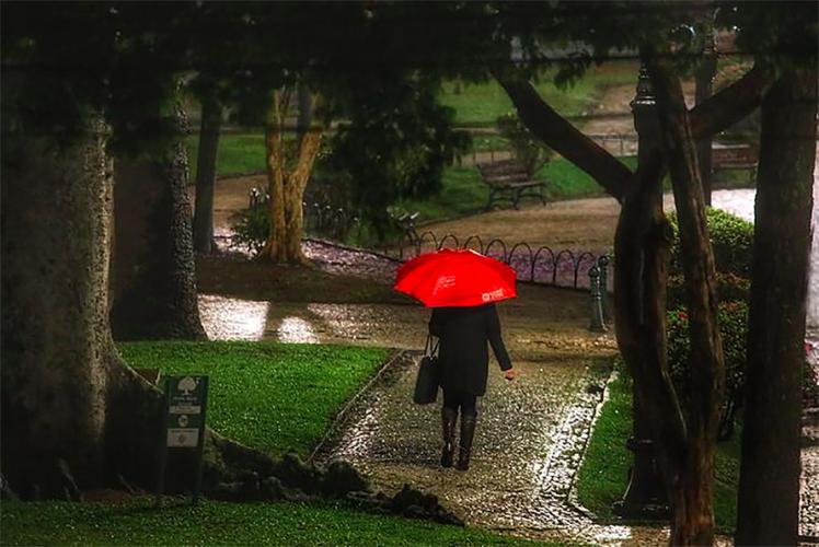 Com aumento de chuvas, Sesa alerta para riscos de leptospirose