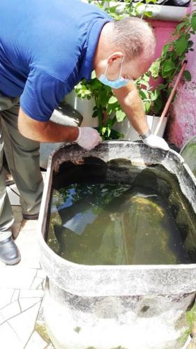 Sesa confirma novo óbito por dengue e realiza força-farefa para conter surto em município do Estado