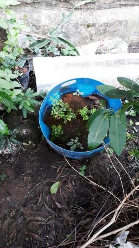 Sesa confirma novo óbito por dengue e realiza força-farefa para conter surto em município do Estado