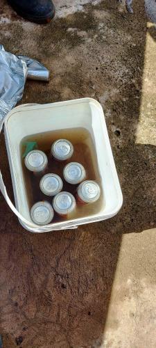 Sesa confirma novo óbito por dengue e realiza força-farefa para conter surto em município do Estado