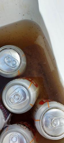 Sesa confirma novo óbito por dengue e realiza força-farefa para conter surto em município do Estado