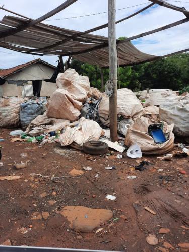 Eliminar criadouros para mosquitos deve ser trabalho constante para combater a dengue
