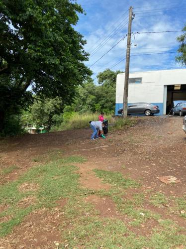 Eliminar criadouros para mosquitos deve ser trabalho constante para combater a dengue