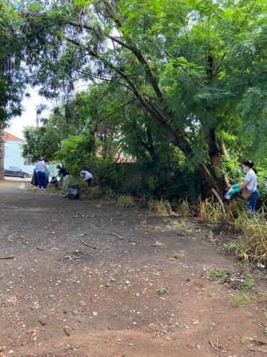 Eliminar criadouros para mosquitos deve ser trabalho constante para combater a dengue