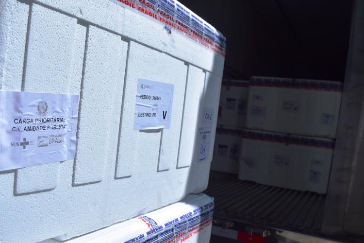 Paraná distribuiu 99,92% das vacinas recebidas pelo Ministério da Saúde