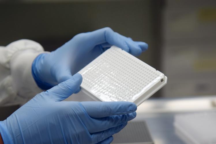 Novo sequenciamento genômico confirma que a variante brasileira do coronavírus segue com maior circulação no Paraná