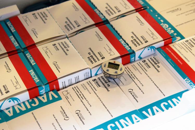 Saúde começa a distribuir nesta terça vacinas contra Covid-19 para trabalhadores da educação