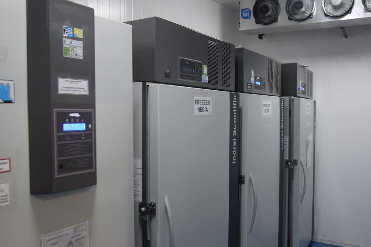 Novo lote de vacinas da Pfizer será distribuído para Capital e Interior do Paraná