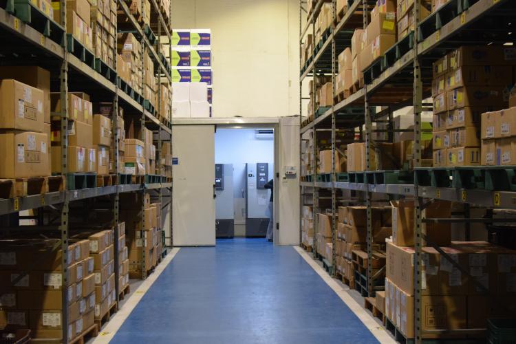 Novo lote de vacinas da Pfizer será distribuído para Capital e Interior do Paraná