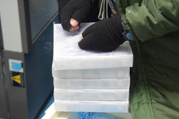 Novo lote de vacinas da Pfizer será distribuído para Capital e Interior do Paraná