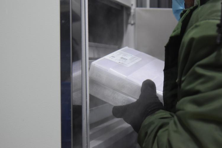 Novo lote de vacinas da Pfizer será distribuído para Capital e Interior do Paraná