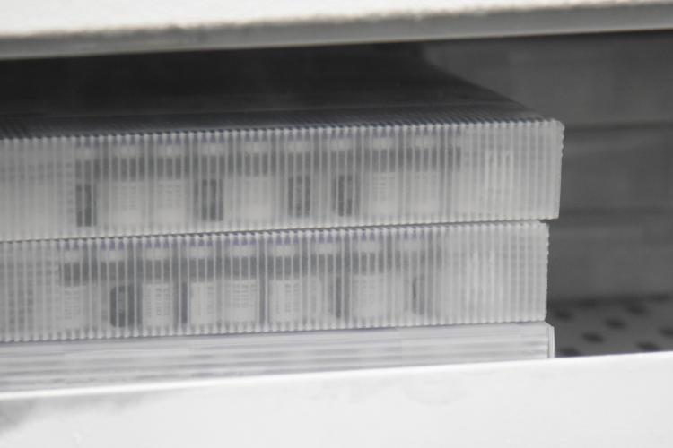 Novo lote de vacinas da Pfizer será distribuído para Capital e Interior do Paraná