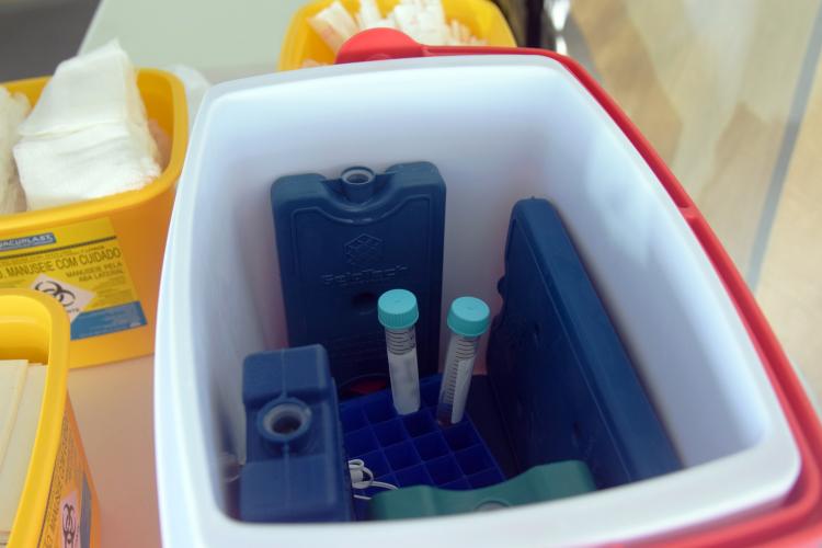 Paraná mantém liderança nacional em testagem padrão ouro para detecção da Covid-19