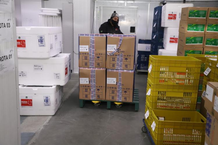 118.170 doses da Pfizer chegam ao Paraná, completando a remessa da semana.