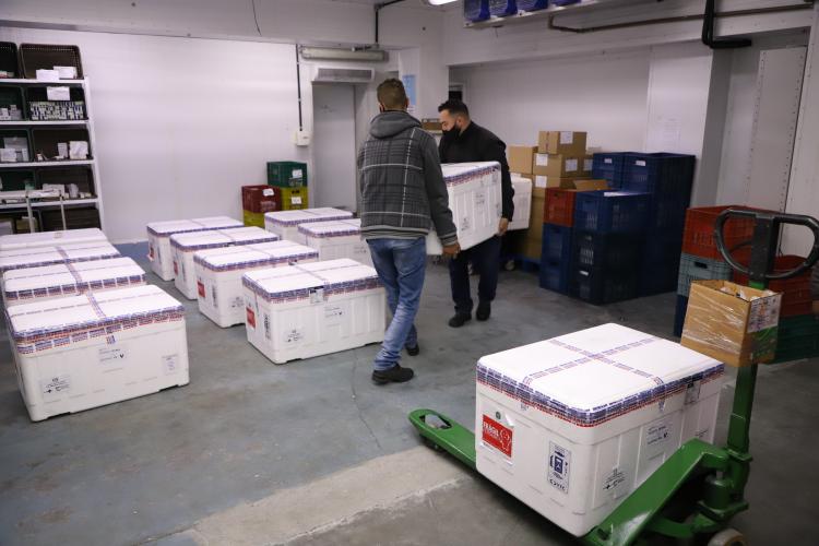 Paraná recebe mais 136,5 mil doses da AstraZeneca, última parte do lote da semana