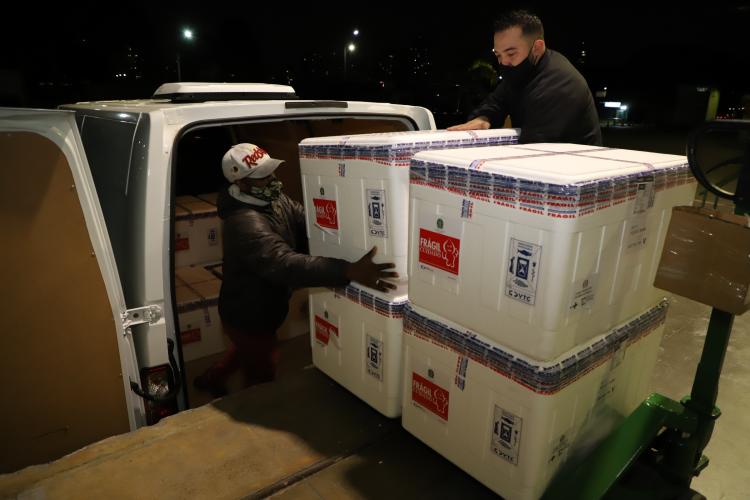 Paraná recebe mais 136,5 mil doses da AstraZeneca, última parte do lote da semana