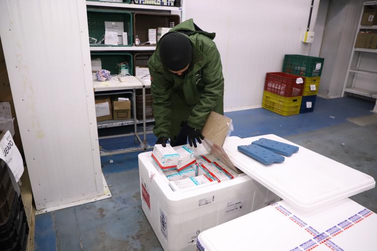 Paraná recebe mais 136,5 mil doses da AstraZeneca, última parte do lote da semana