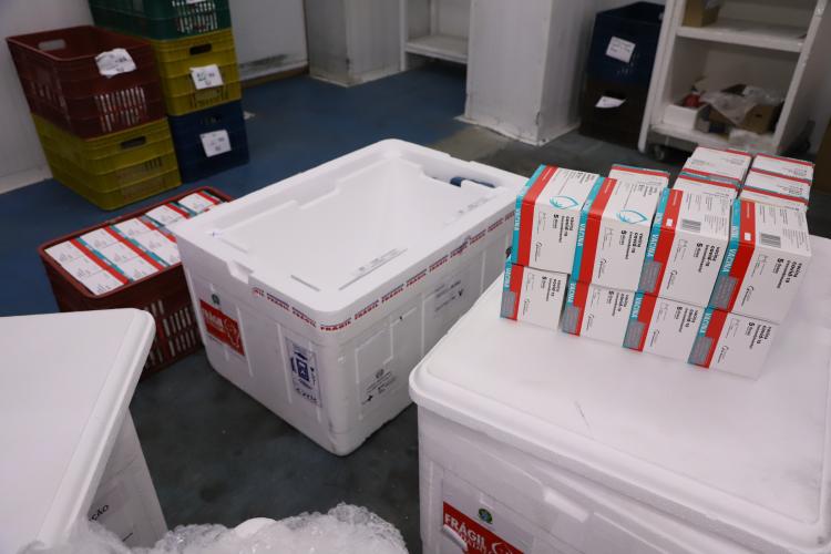 Paraná recebe mais 136,5 mil doses da AstraZeneca, última parte do lote da semana