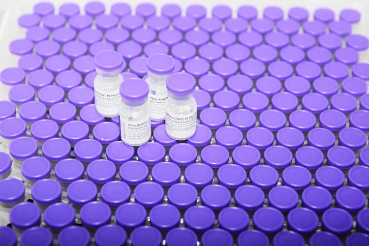 Paraná vai receber lote com mais 366.300 doses de vacinas contra a Covid-19