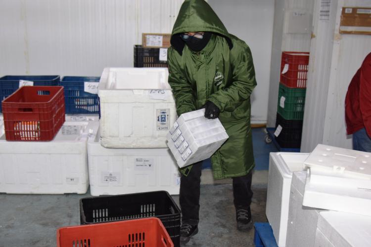 Paraná receberá mais 182,1 mil vacinas contra a Covid-19 nesta segunda-feira