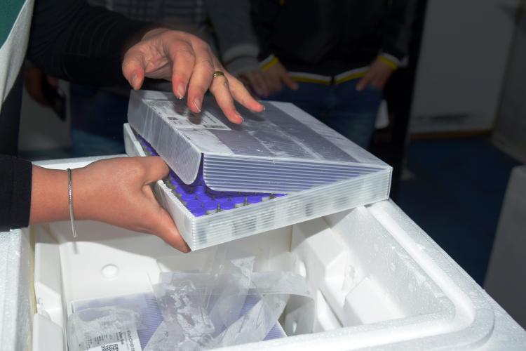 Paraná recebe 79,5 mil vacinas contra a Covid-19 nesta quarta-feira; mais 87 mil chegam na quinta