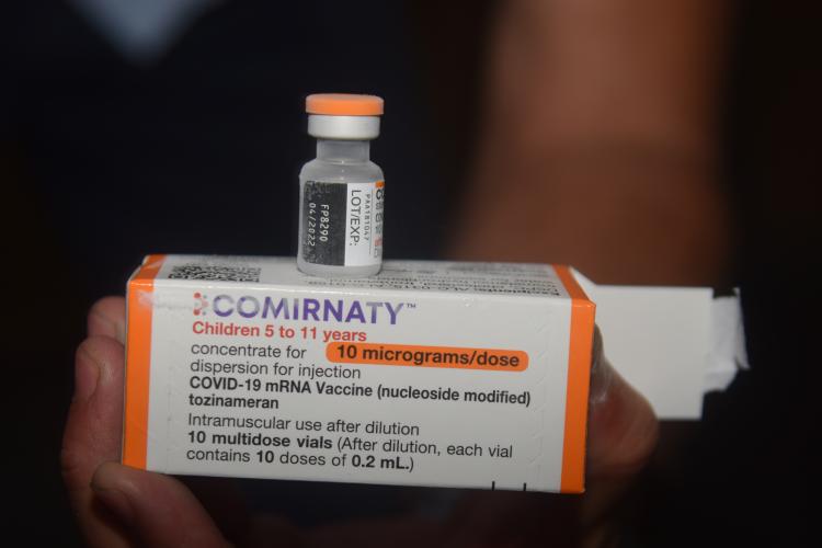 Terceiro lote de vacinas pediátricas da Pfizer e 118 mil CoronaVac chegam ao Paraná nesta terça